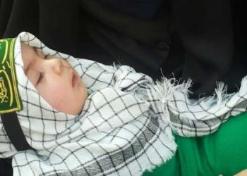 برگزاری اجلاس سالانه مسئولین اجرایی همایش شیرخوارگان حسینی در مشهد