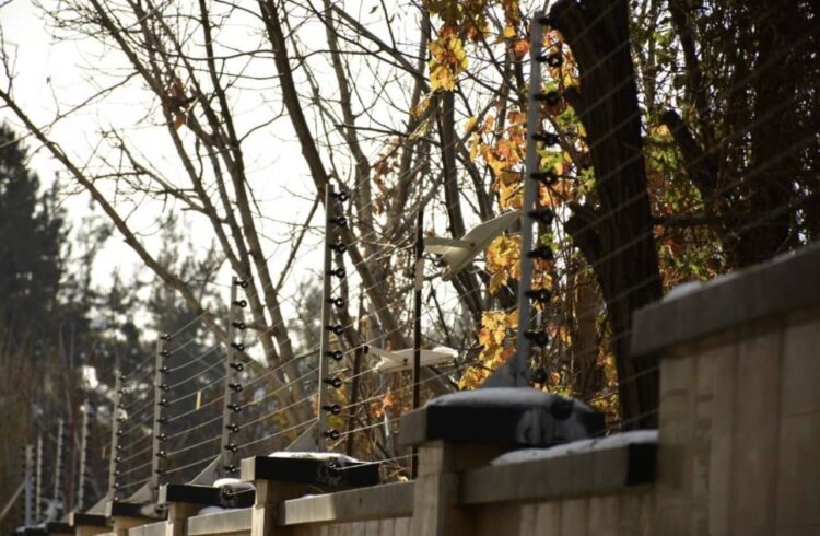 کاهش نرخ سرقت با کمک یک مخترع جوان