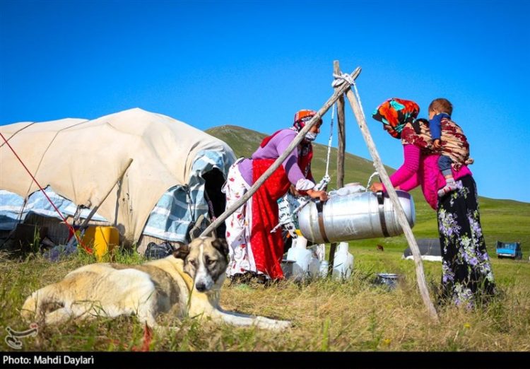 بیانیه ستاد مرکزی تشکل های انقلابی کشور برای دختران عشایر ایران زمین