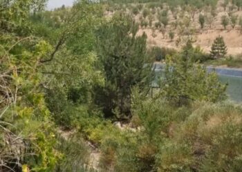 اعتبار نقدی 310 میلیون تومانی برای مشارکت کنندگان در پروژه بین المللی گردشگری